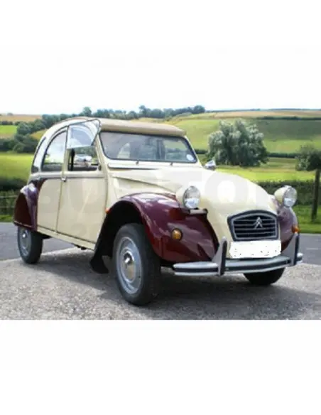 PEGATINA DOLLY ROJO BURDEOS