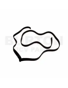 JUNTA DE PUERTA TRASERA DERECHA