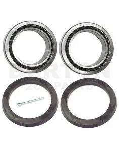 KIT DE RODAMIENTOS EJE